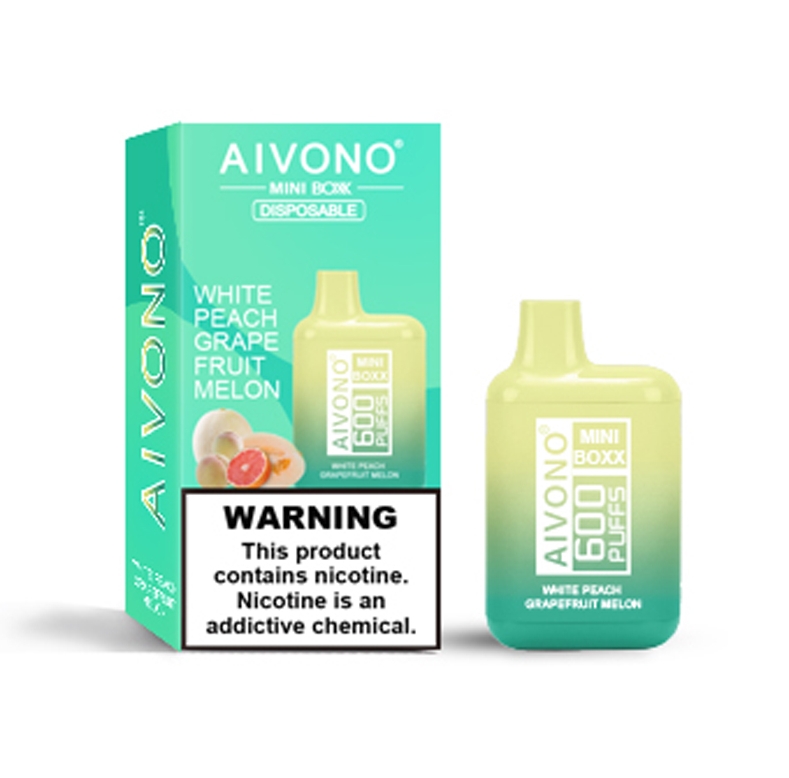 Aivono AIM MINI BOXX 600 Testbericht: Kompakter Genuss für unterwegs
