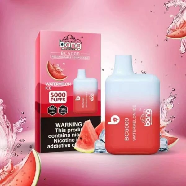 Die Bang Box BC5000: Ein ausgewogenes Produkt für anspruchsvolle Dampfer in Deutschland